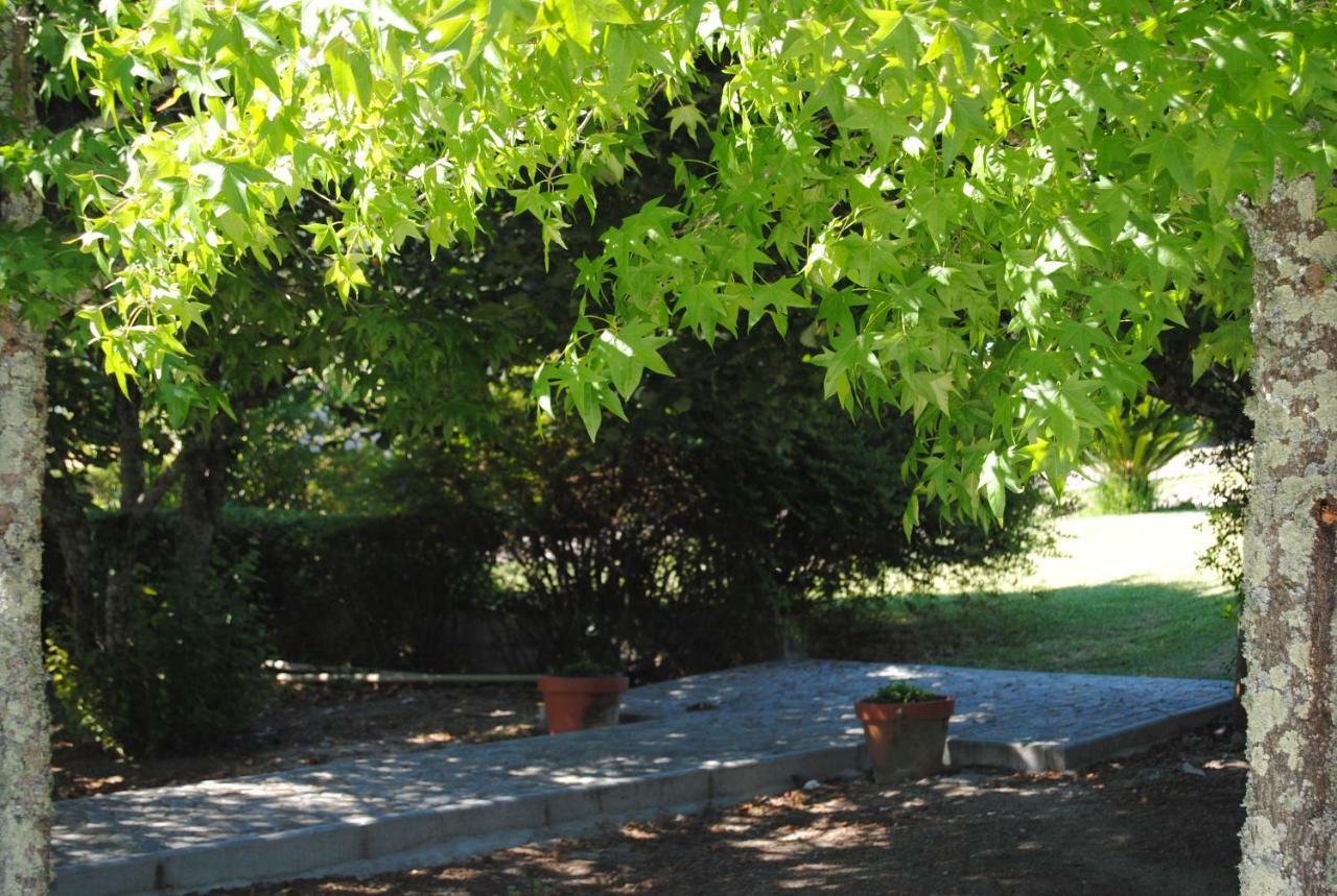 Quintinha Santar Villa Dış mekan fotoğraf
